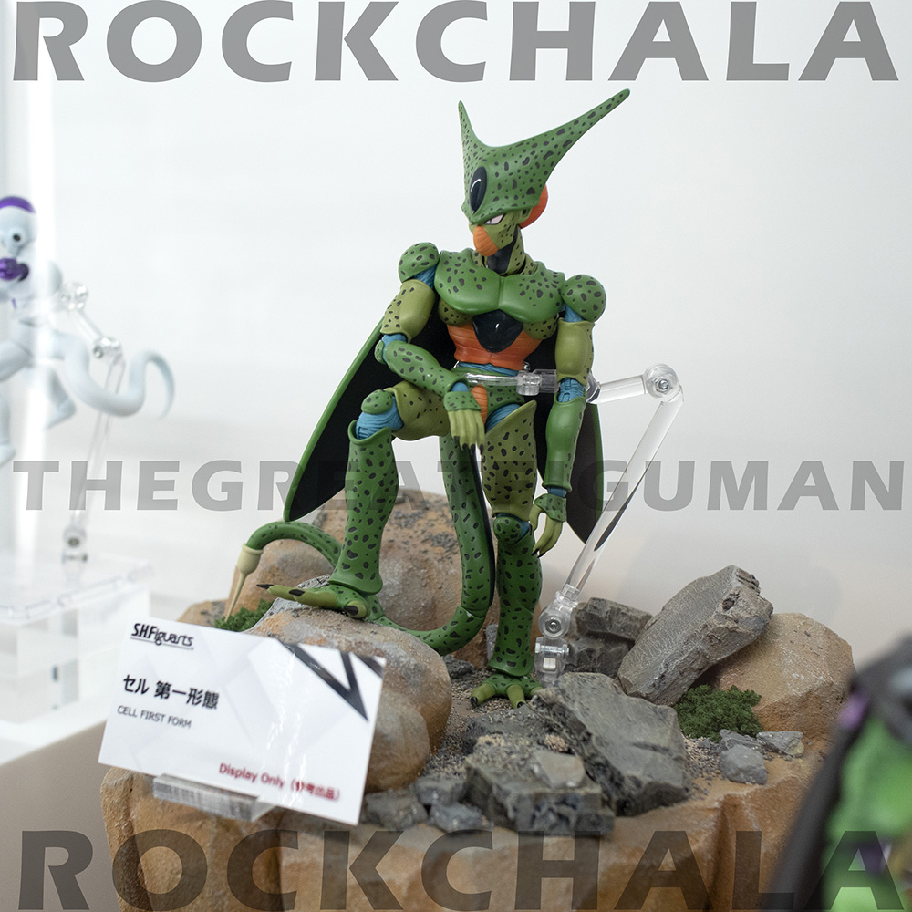 Tokyo Showroom Jan 2022: Cell First Form